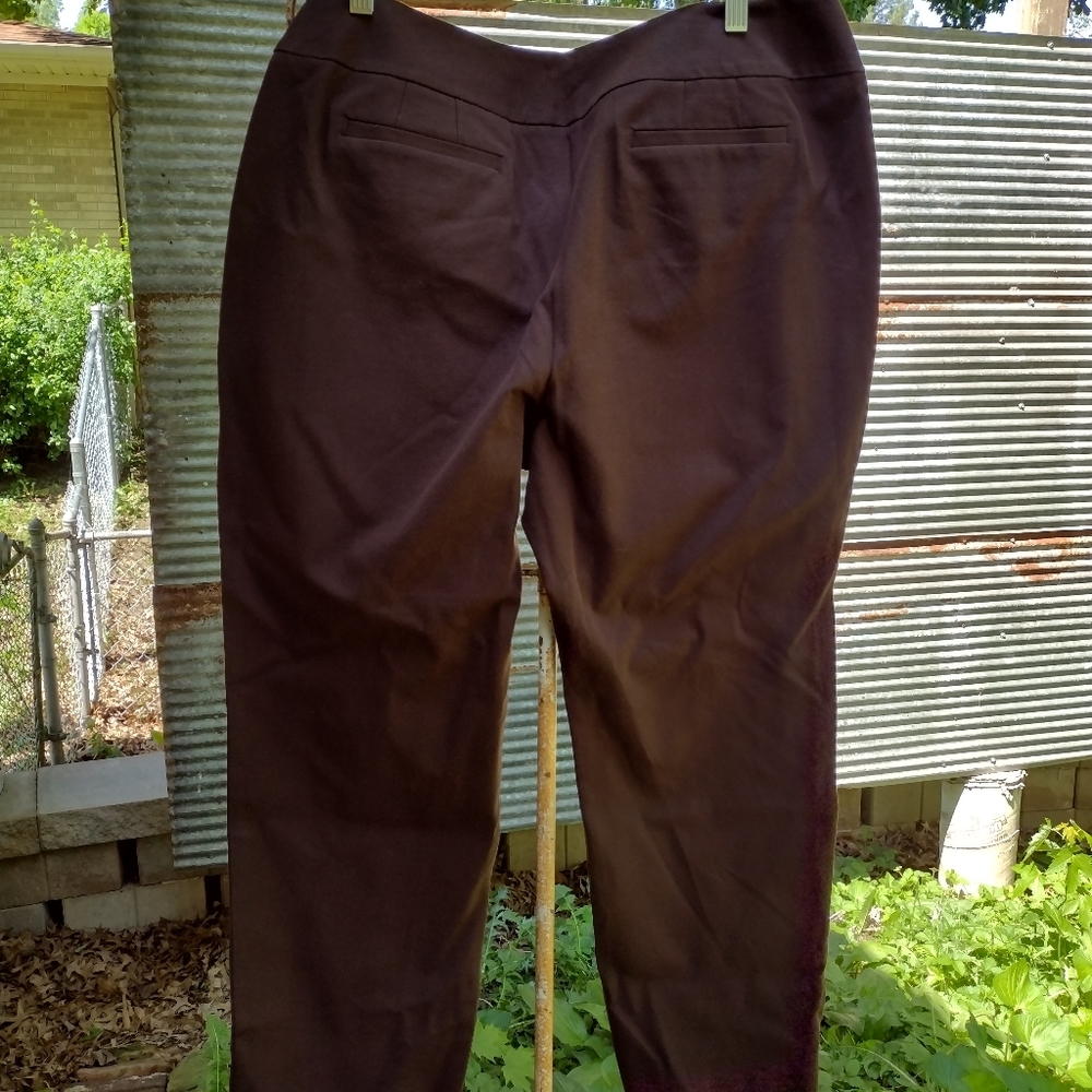 Chicos chocolate brown chino dress pants, Size 3 short pants plus size